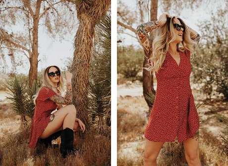 knie nur fans hd schöne bilder