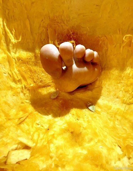 ZeldaHyrule nackt erotische foto