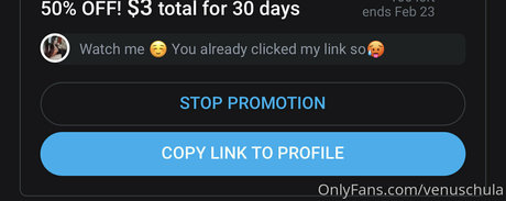 venuschula perfekte schöne galerien