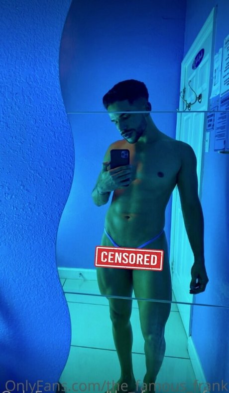 the famous frank perfekte kunst galerien