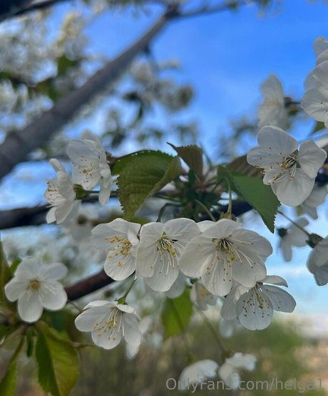 helga1 sexy kunst bilder