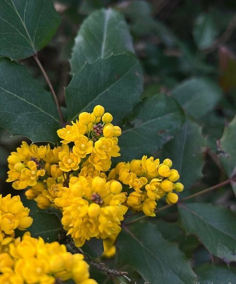 helga1 erotische sex bild