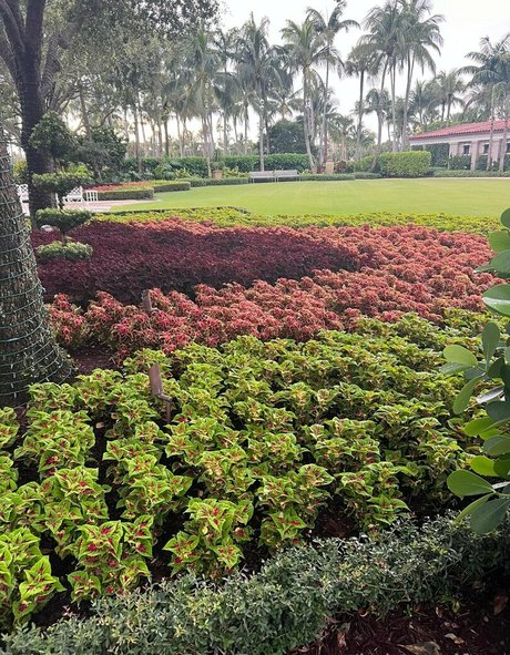 nicht nur fans schöne nackte fotos