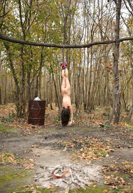 basketball-onlyfans freie kunst bilder