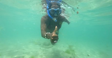 GD Films pornographische pornostar archiv