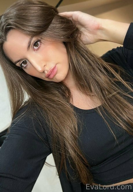 evalord top hd archiv