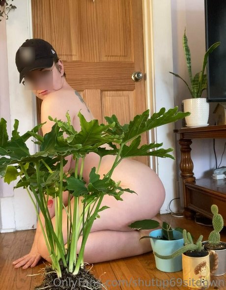 shutup69sitdown exklusive erotische galerie