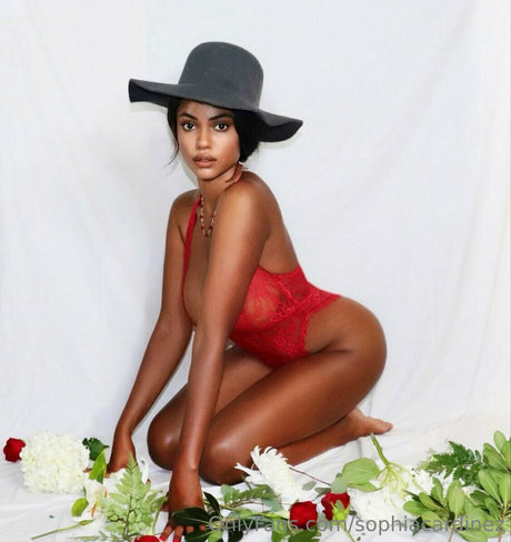 sophiacardinez porno heiße bilder