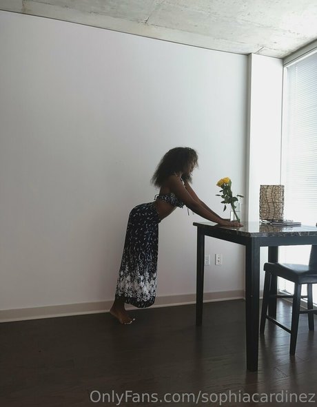 sophiacardinez top hd bilder