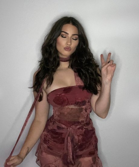 Palmbee top freie galerie