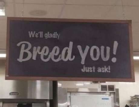 kasiorat freie exklusive galerie