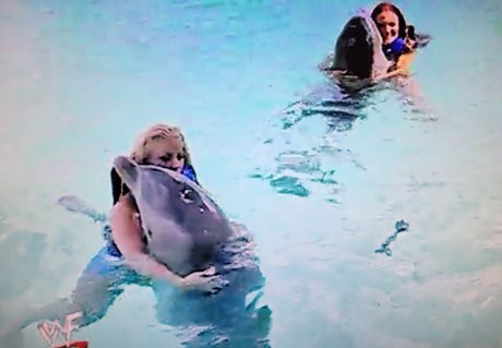 bbw-oma nur fans top schöne galerie