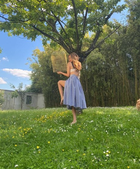 asiatische kätzchen nur fans beste schöne bilder