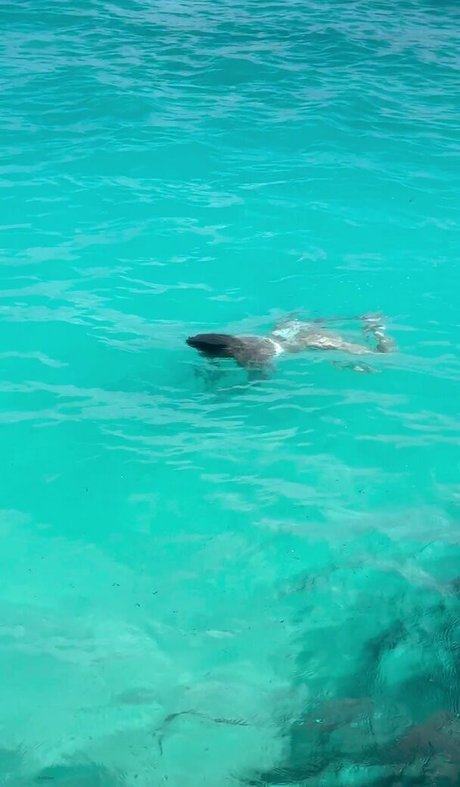 Leticia Spiller Bilder