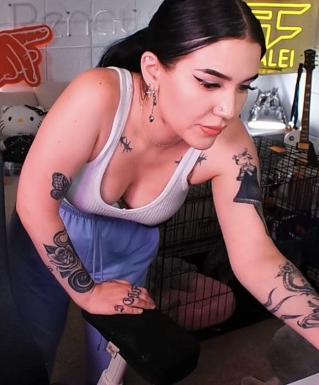 Kalei beste perfekte galerie