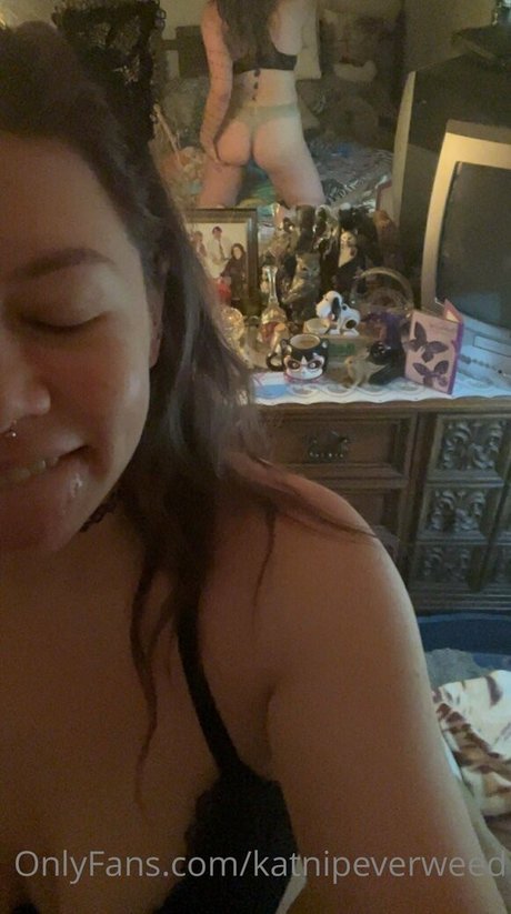 katnipeverweed hübsche top foto