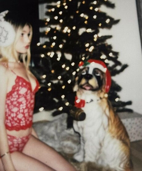 Abby Paradise hd kunst galerie