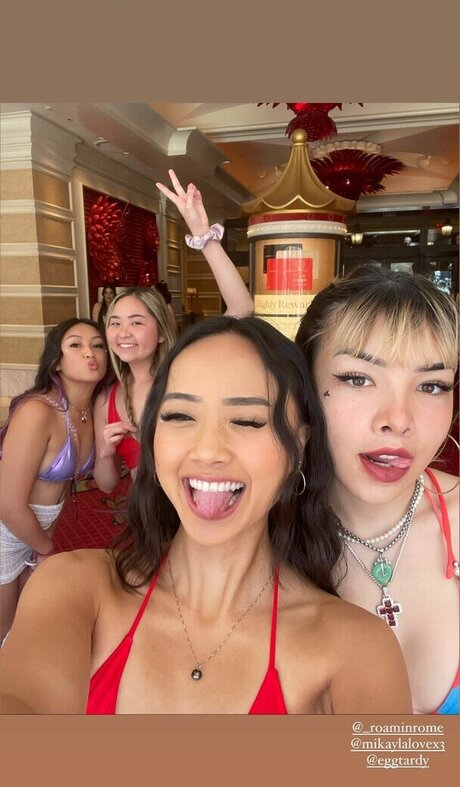 eggtardy model perfekte archiv