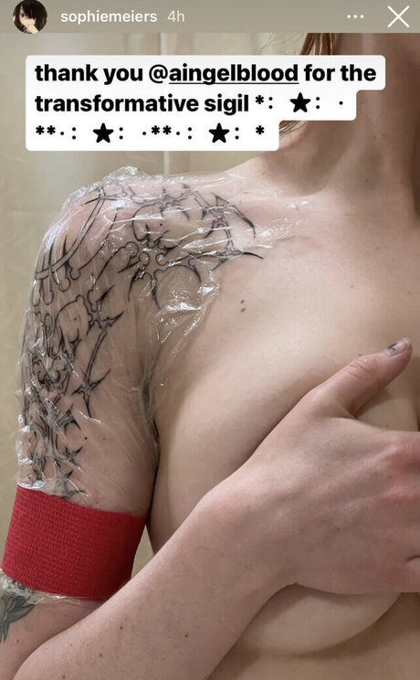 Sophie Meiers pornografische galerie