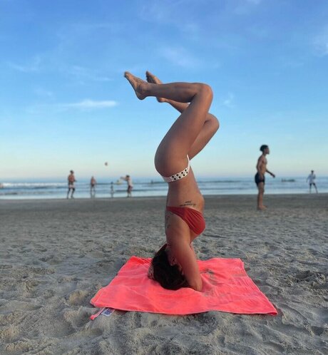 Priscila Sol heiße pornografische archiv