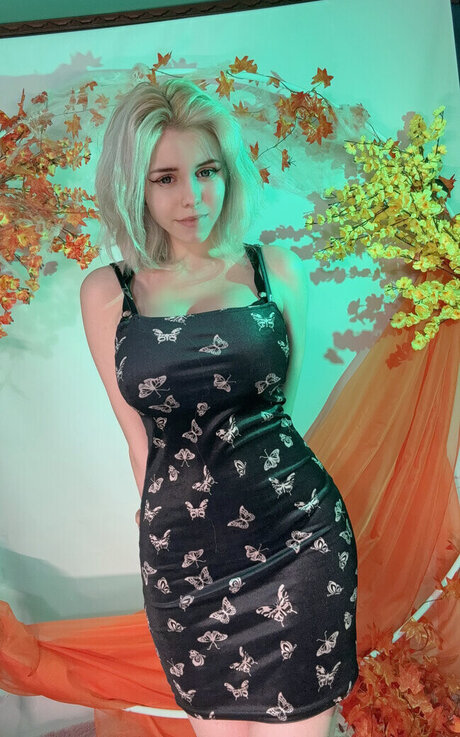 Likkio schöne perfekte bilder