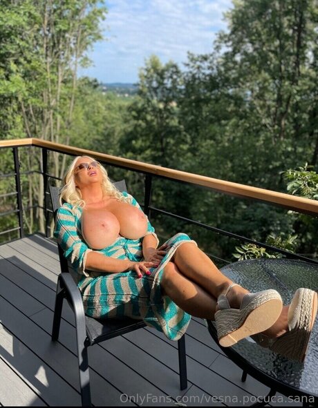 Vesna Pocuca Sana kunst sex galerien