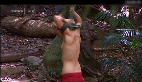 Ich bin ein Star Holt mich hier raus_ erwachsene freie galerien