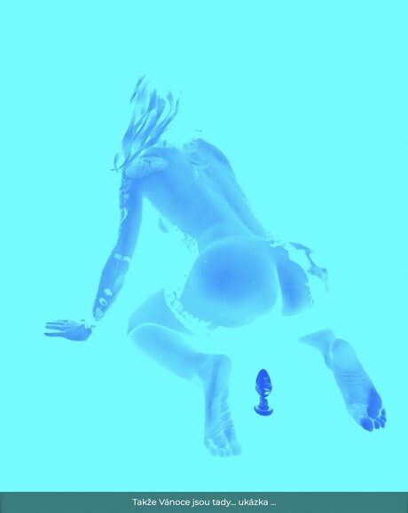 Regina Labajova sexy akt archiv