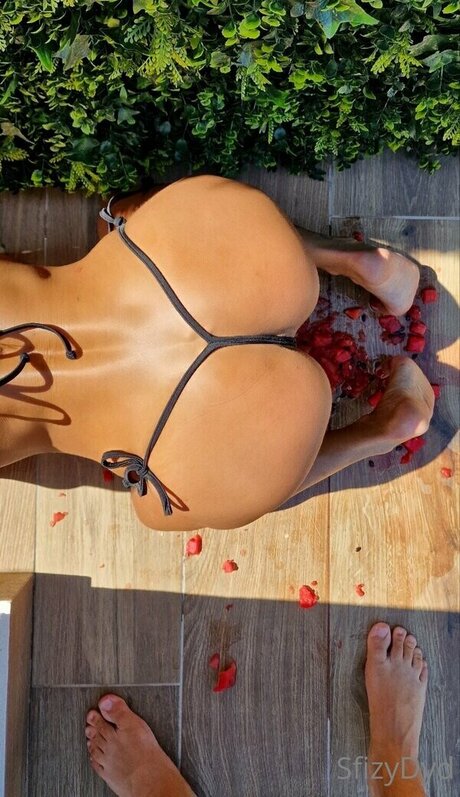 sfizydyd hübsche pornographische fotos