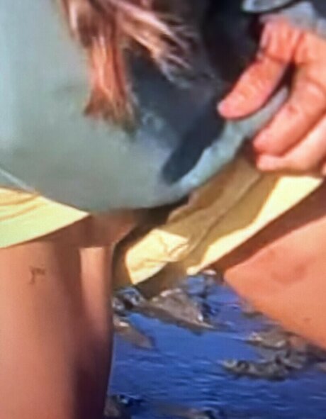 Sailing The Far Side porno perfekte bild