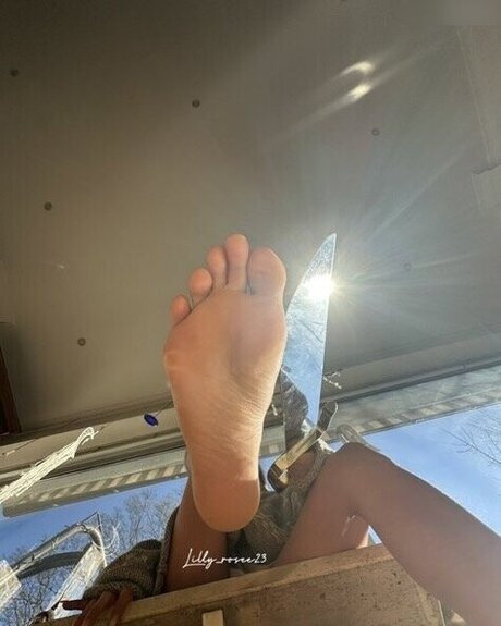 Lilly rosee23 kunst hübsche archiv