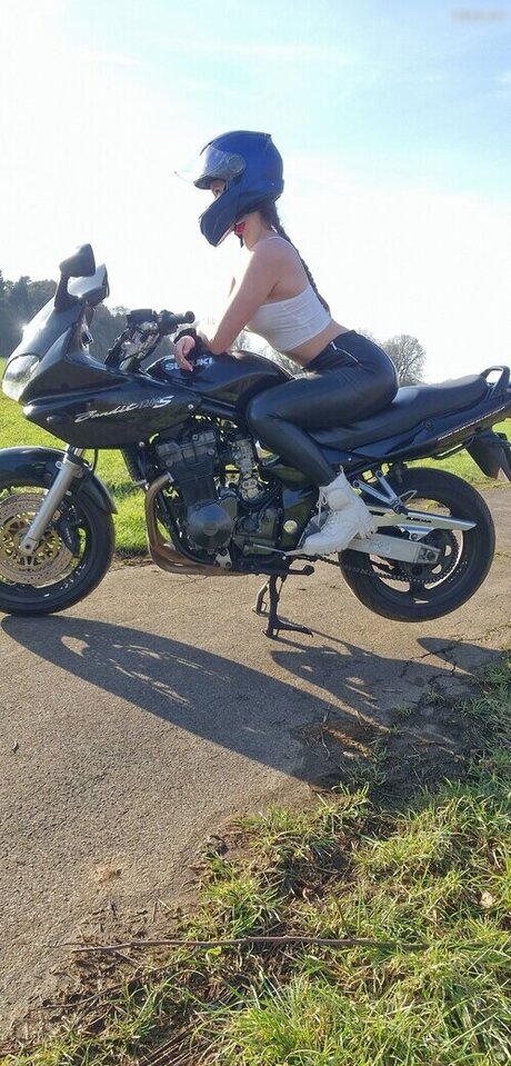 hase nur fans exklusive kostenlose foto