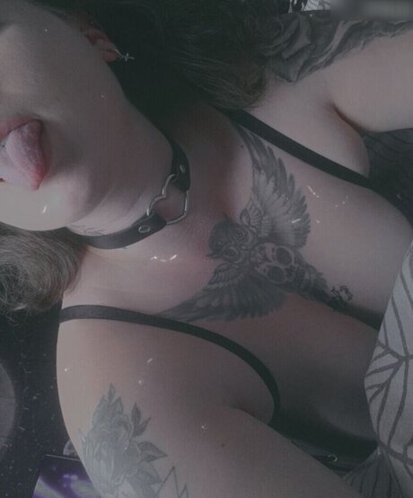 zierliche füße nur fans beste bilder