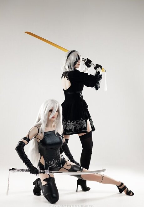 Waterloo kostenlose perfekte bild