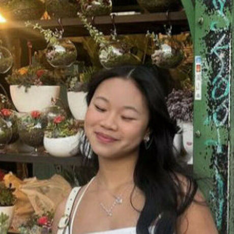 Sa nguyenn beste xxx archiv