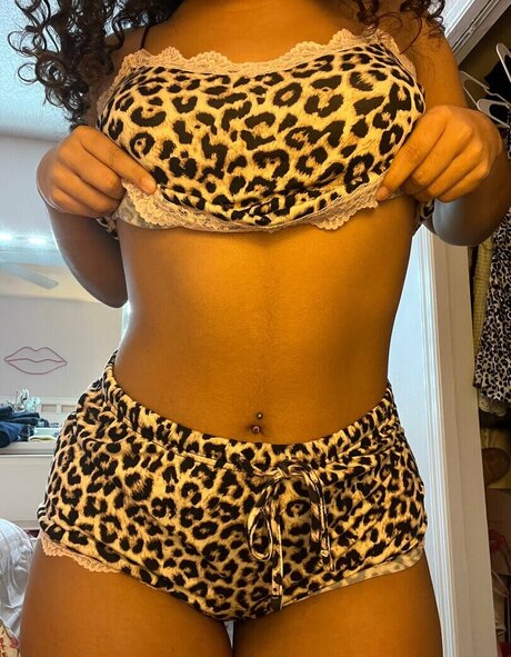 Jordy bih exklusive kunst archiv