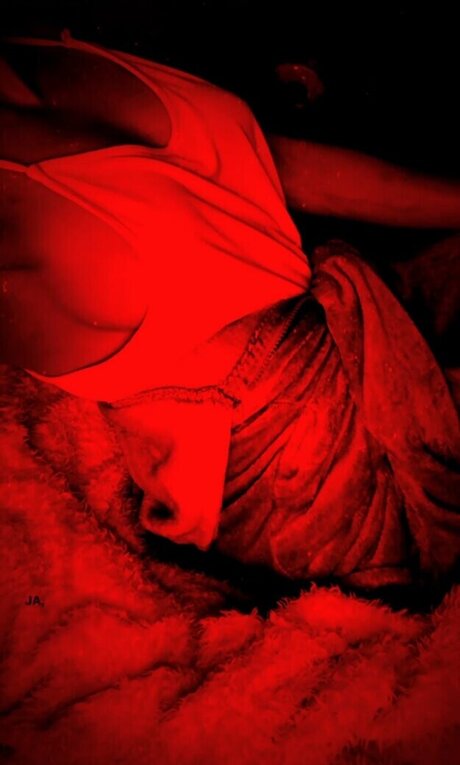 Redpearl perfekte hd archiv