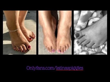 Latina s Piggies exklusive pornostar bild