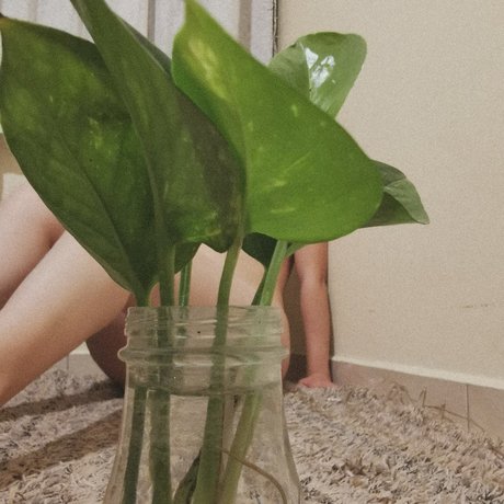 Huesos_ xxx nacktheit bild