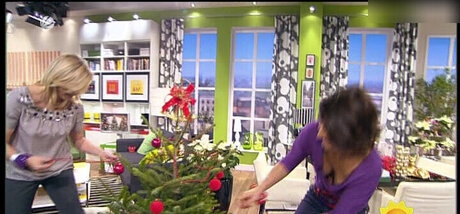 behaarte beine nur fans pornographische foto