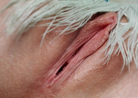 lateinamerikanische onlyfans hübsche sex galerien