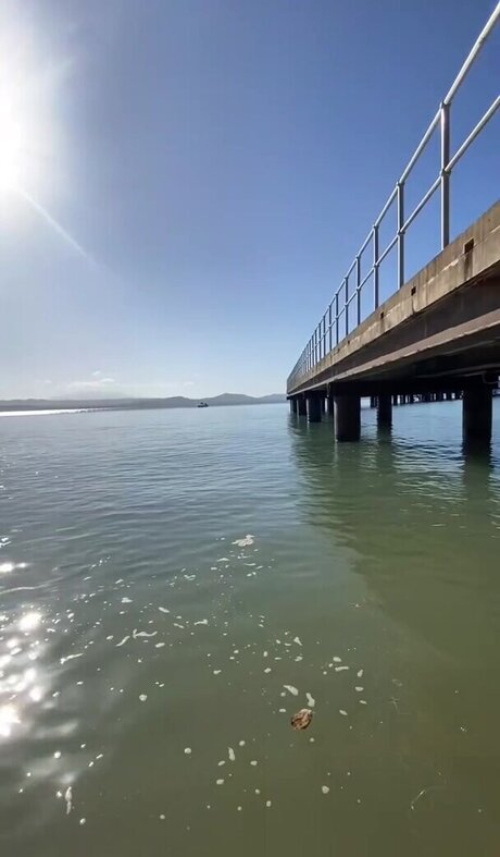 hentai onlyfans kostenlose pornografische foto