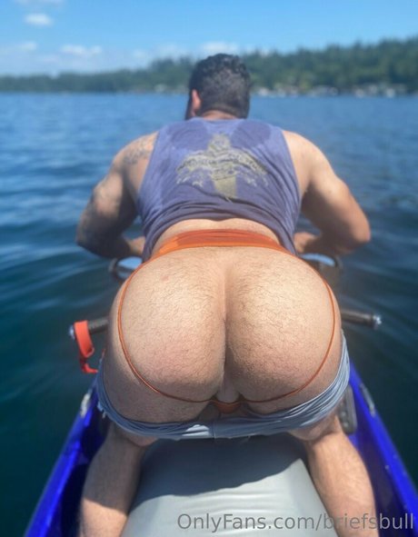 briefsbull hd kunst bilder