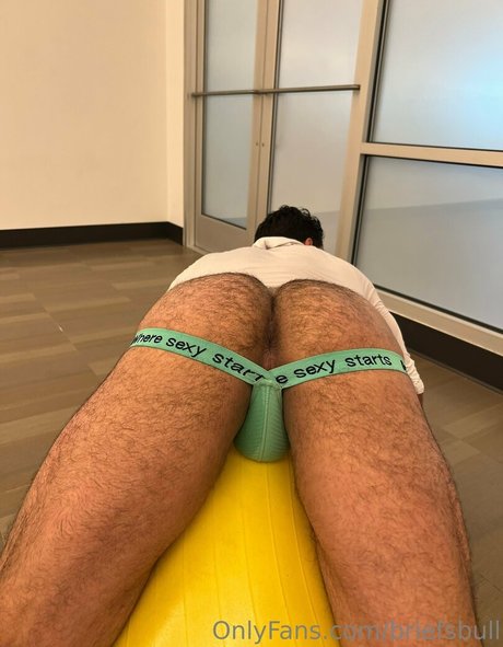 briefsbull Profilbild