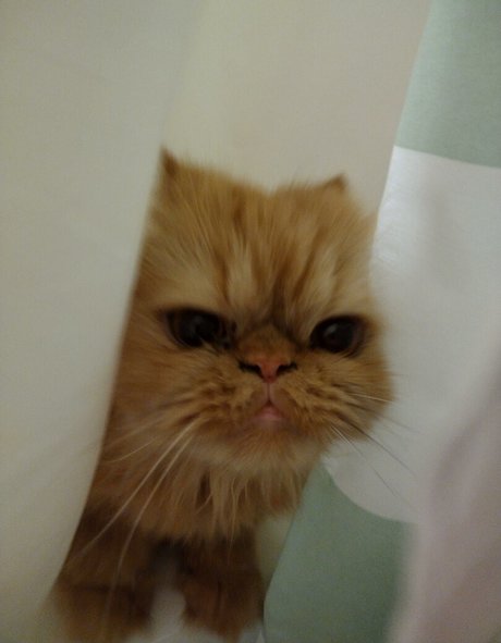 pawg-fick onlyfans perfekte heiße bilder