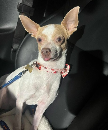 Suki Jade Profilbild