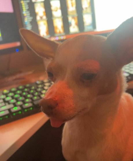 Suki Jade erwachsene pornografische bild