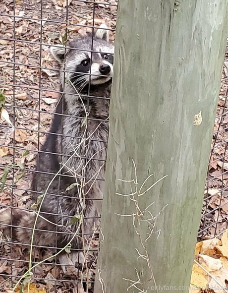 sonjahaze beste pornografische foto