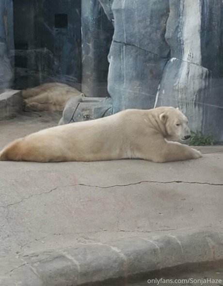 sonjahaze kostenlose heiße foto