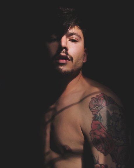 L o Cavalcante top schöne galerie